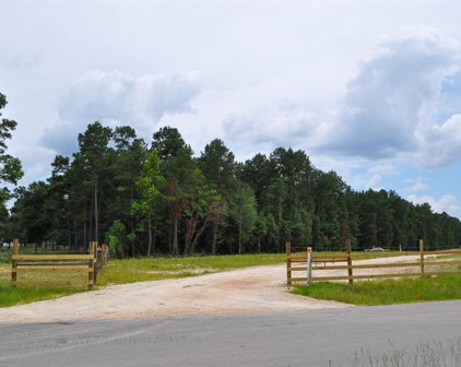 Tommy Smith Road, Conroe