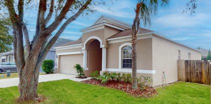 24808 Portofino Drive, Lutz