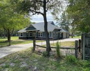10001 Bahia Loop, Land O' Lakes image