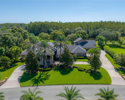 18707 Pepper Pike, Lutz