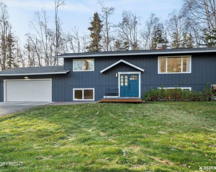 10230 Ronald Place, Eagle River