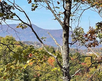 Lot 1 Caney Creek Rd, Pigeon Forge