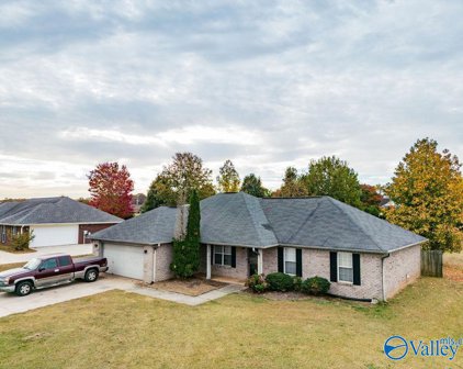 142 Laurel Oak Road, Huntsville