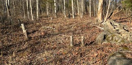 Little Catawba Creek  Rd, Troutville