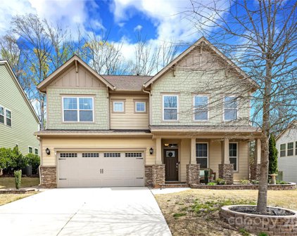 16513 Palisades Commons  Drive, Charlotte