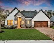 12215 Grey Plover Court, Conroe image