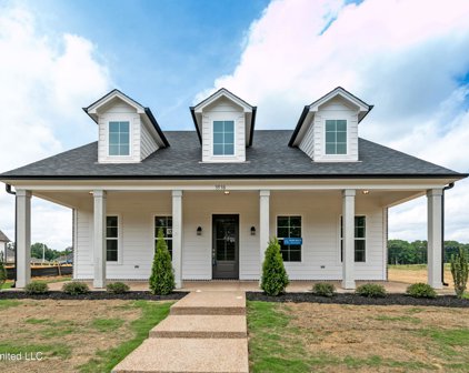 3538 Hatton Drive, Nesbit