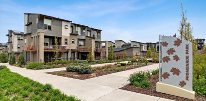 10100 Belvedere Circle, Lone Tree