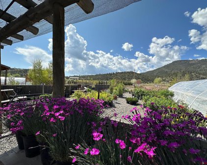 4 El Dorado, South Fork