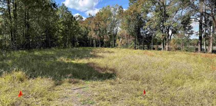 Bridgebrook Ln., Conway