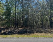 164 W Diego Place, Dunnellon image