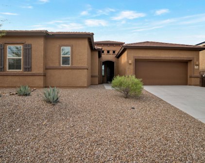 11239 E Lupine Flower, Tucson