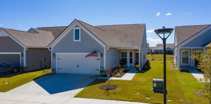 387 Dahlia Row Drive, Summerville