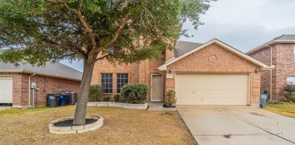 1313 Water Lily  Drive, Little Elm