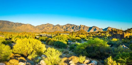 1364 W Tortolita Mountain Unit #313, Oro Valley