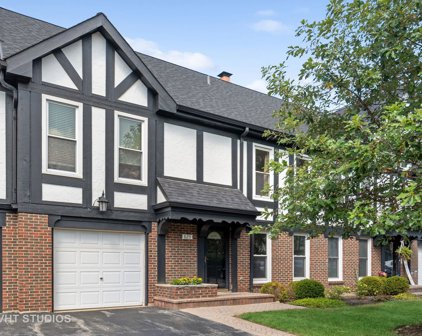 825 Garfield Avenue, Libertyville