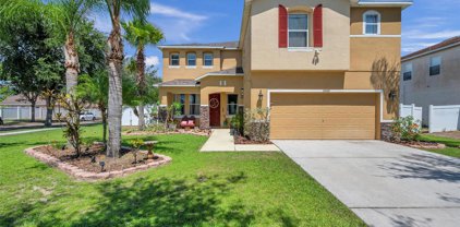 10602 Bamboo Rod Circle, Riverview