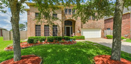 3115 Longhorn Circle, Manvel
