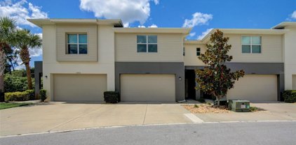 12820 Sanctuary Vista Trail Unit 10, Tampa