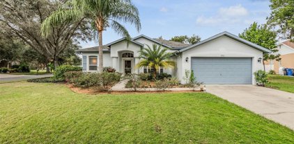 3705 Barnhouse Place, Valrico