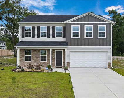 107 Enclave Way NE, Ludowici