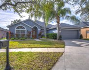 12322 Wycliff Place, Tampa image