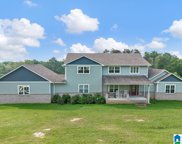 760 Newton Road, Springville image