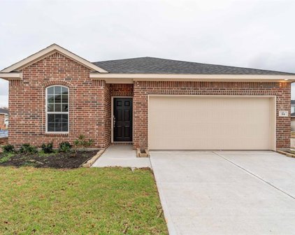 314 Barred Owl Court, Clute