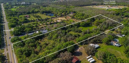 250 Meadows Drive, Tarpon Springs