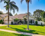 13333 Via Roma Circle, Clermont image