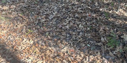 3516 Sycamore, North Little Rock