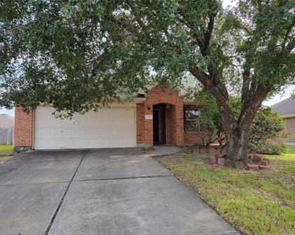 12910 Greens Manor Lane, Houston