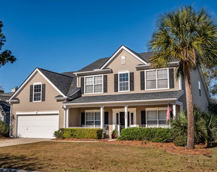 2387 Parsonage Woods Lane, Mount Pleasant