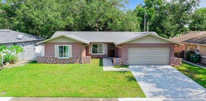 5781 Applecross St N, St Petersburg