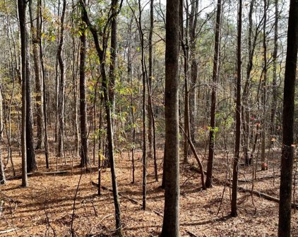 2957 Corinth Road, Newnan