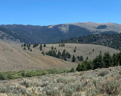 3966 Camp Creek Road, Butte