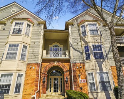 18705 Sparkling Water Dr Unit #203, Germantown