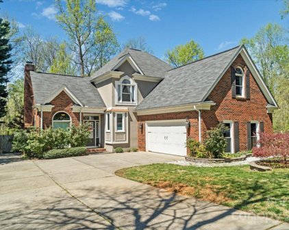 8709 Piccone Brook  Lane, Charlotte