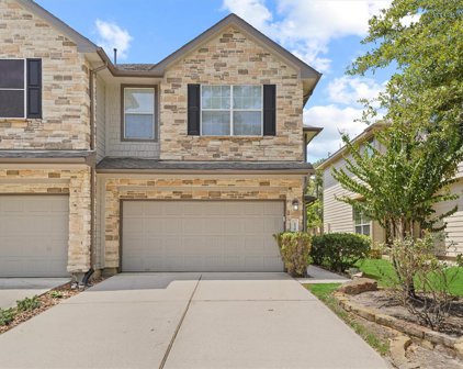 239 Bloomhill Place, The Woodlands
