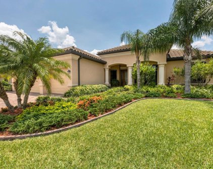 13365 Caravaggio Court, Venice