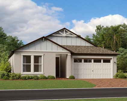 9802 Carabiner Way, Land O' Lakes