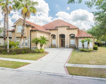 20115 Shady Hill Lane, Tampa