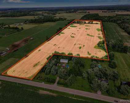 2739 Wilson Cambria  Road, Wilson-294289