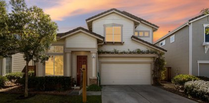533 Osprey DR, Redwood City