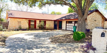 11705 Smoking Oaks St, Live Oak