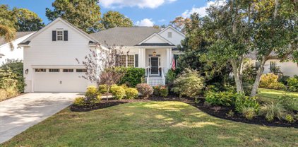 1288 Wisteria Wall Drive, Mount Pleasant