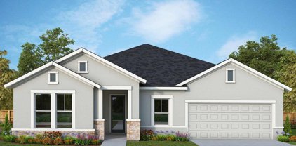 31558 Westbury Estates Avenue, Wesley Chapel
