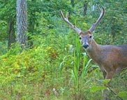 Liberty Ridge Rd, Hohenwald image