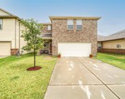 13219 Montane Manor Lane, Houston image