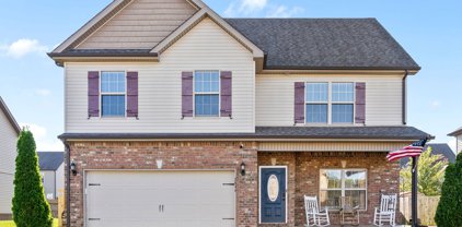 2846 McManus Cir, Clarksville